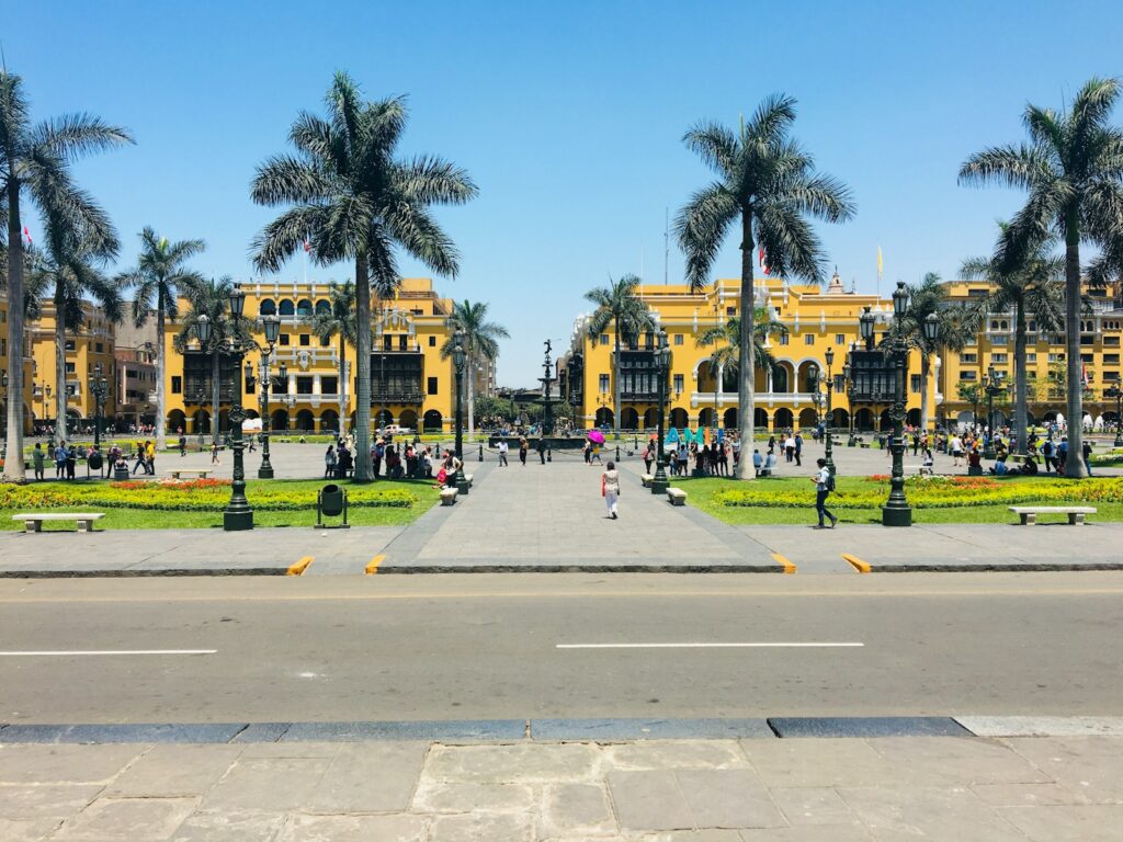 people walking on sidewalk near palm trees during daytime