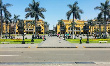 people walking on sidewalk near palm trees during daytime