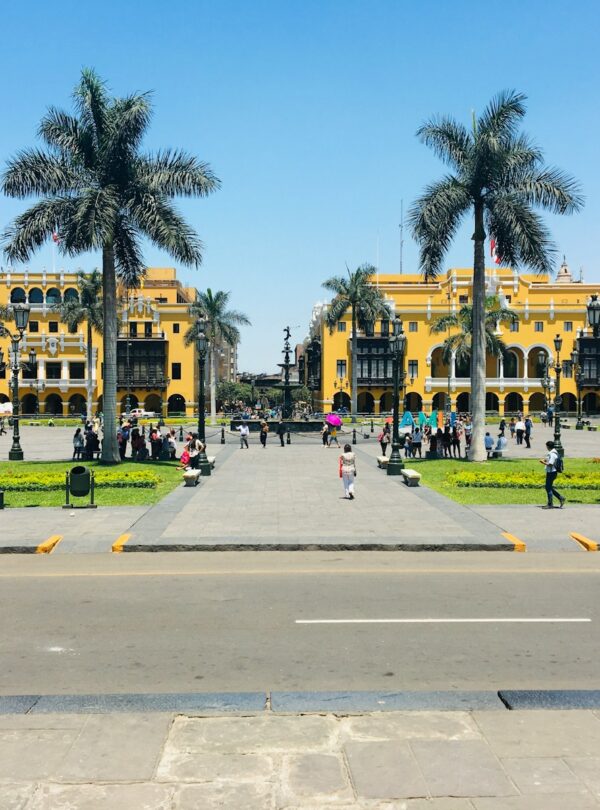people walking on sidewalk near palm trees during daytime